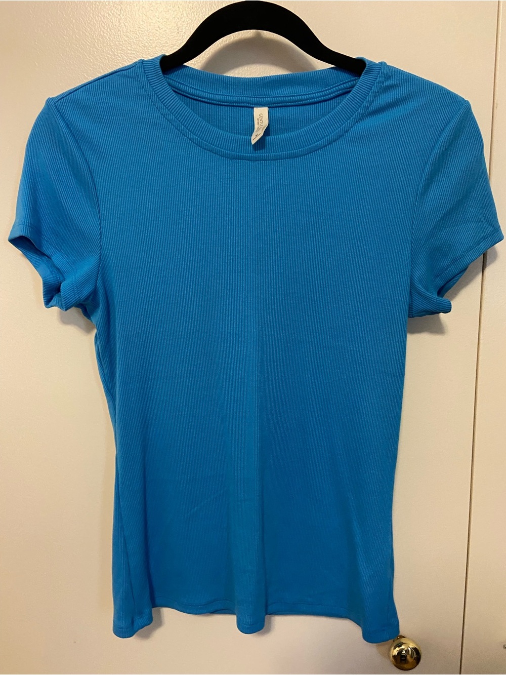 Gentle Fawn Short Sleeve Crewneck Top in Bright Blue